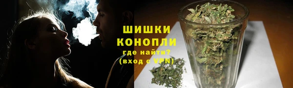 трава Аркадак