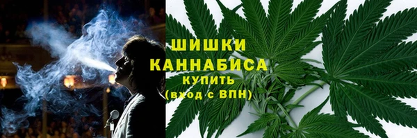 ГАЛЛЮЦИНОГЕННЫЕ ГРИБЫ Арсеньев