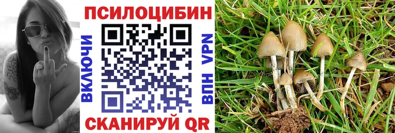Псилоцибиновые грибы MAGIC MUSHROOMS  Ярцево 